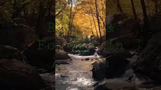 155 - Autumnal Splendor: The Majestic Marriage of River and Forest #river #forest #autumn