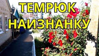 ТЕМРЮК НАИЗНАНКУ