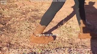 NIKE DUNK and white NIKE socks wet and muddy(FUll video 26min 59sec)(captions)