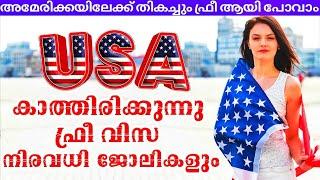 USA H1B visa|wayfarerinsights|sponsorship jobs|malayalam|USAworkVisa #jobs #shyamk #h1blottery #visa