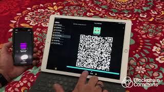 URDemo: Animated QR Research from Blockchain Commons
