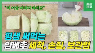 양배추, 이렇게 잘라보세요! 양배추 손질 보관 세척