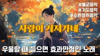 흥얼거리다보면 마음이 밝아지는 음악 | 하이붓다 뮤직  |#kpop #불교음악 #명상음악