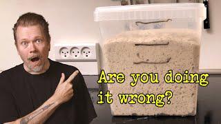 Are you fermenting sourdough bread wrong? | Fermentation Masterclass