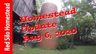 Red Silo Homestead Update Aug 6, 2020