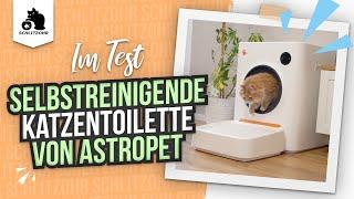 Nie wieder Katzenklo reinigen!? Selbstreinigendes Katzenklo Mercury von Astropet im Test