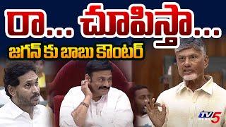 CM Chandrababu Naidu Challenges YS Jagan Over AP Debts | AP Assembly |  TV5 News