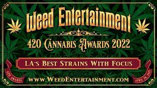 LA's Best Strains With Focus - Weed Entertainment 420 Awards 2022 - 5 Strains