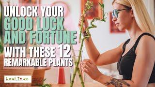 12 Best Fortune Plants that Attract Money and Success! | Vastu Plants | Feng Shui | Leaf Town