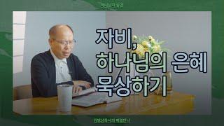 [6월 9일] 자비, 하나님의 은혜 묵상하기 | 누가복음 15:11-32 | 하나님의 숨결