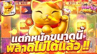 สล็อตแมวทอง สล็อตแมวนำโชค สล็อตลัคกี้เนโกะpg lucky neko แมวพีจี สล็อตลัคกี้เนโกะล่าสุด วันนี้ 2024