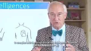 What is the Piramide Method? 荷蘭金字塔教學法的來源