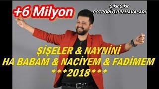 MEVLÜT TAŞPINAR - Potpori ŞİŞELER & NAYNİNİ  & NACİYEM & FADİMEM (Düğün Oyun Havaları)