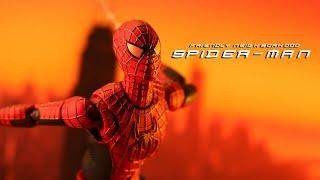 Tobey Maguire's "Friendly Neighborhood Spider-Man" Stop Motion / Into the Spider-Verse Recreation!