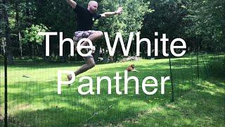 The White Panther!