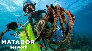The Florida Keys & Key West | Adventure, Conservation & Local Cuisine ️