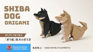 「折り紙」柴犬（shiba dog origami)の折り方