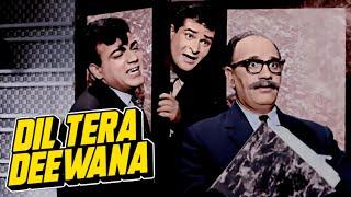 Shammi Kapoor और Mehmood का मजेदार कॉमेडी सीन | MOVIE - DIL TERA DEEWANA (1962)