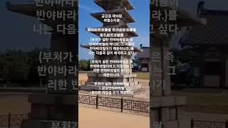 금강경 제13장에서 부처가 설한 반야바라밀은 무엇인가?   #shorts #불교