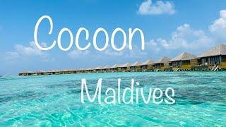 Cocoon Maldives 2022 4K island drone food snorkeling diving PADI room tour Lhaviyani Atoll Malediven