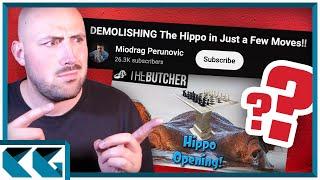 My Response to the “DEMOLISHING The Hippo” Video