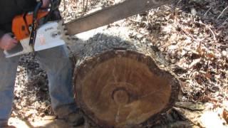Mastermind Worksaws Woods Ported Stihl MS660