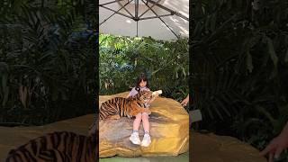 #태국#hellothailand#thailand#trip#아이둘과해외살기#태국동물원#동물원#방콕동물원#방콕사파리월드#Bangkok#กรุงเทพมหานคร#safariworld