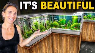 My One Of A Kind Fish Tank Is Finally Ready!