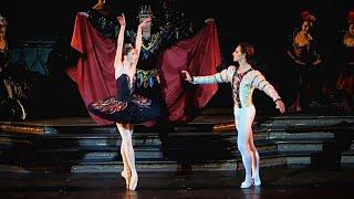 SWAN LAKE Sergei Polunin & Erika Mikirticheva (12.16.2013) Incomplete