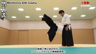 天照会　合気技　ダイジェスト Meishinryu Aiki samples 10/22