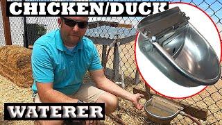 How do we give our animals water?? The best Chicken waterer for 2021 | Lacey Family Farm