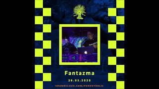 Forestdelic Curfew〔Part 4〕◉ FANTAZMA ◉