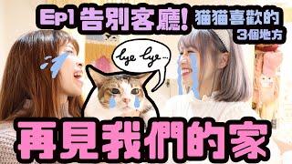 再見我們的家！Ep1 告別客廳貓貓最愛的三個地方｜Cynbunny｜