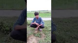 Comedy video #shortvideo #funny video #Suraj Vishwakarma comedy video ‍️