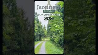 무안의 숨겨진 명소 감방산 삼나무숲길 #등산  #트레킹 #감방산 #삼나무숲길 #걷기좋은곳