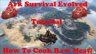 Ark Survival Evolved Tutorial - Cooking Raw Meat