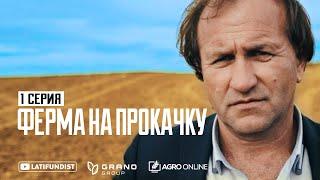 Ферма на прокачку #1 – Аудит / Grano Group | Latifundist