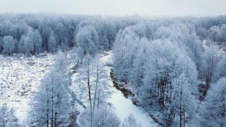 Река Старый Мухавец