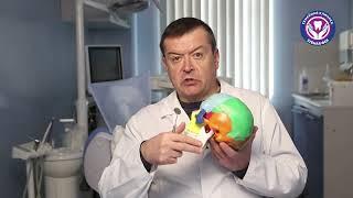 Проблемы с ВНЧС у подростков. Врач-гнатолог Александр Хамчишкин