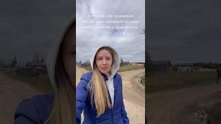 Поиск и подбор участков в СПб и ЛО #инвестиции #земельныйучасток #земельныйюрист