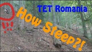 TET Romania - Singletrack Section near Lacul Vidraru, 2023