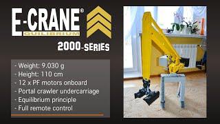 Lego E-Crane 2000-series - Equilibrium Material Handling Machine (2016)