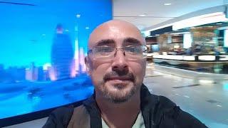 244. Кения. Как привезти Кенийку в Россию. Инструкция.