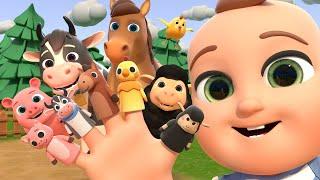 Farm Animals Finger Family | Almama Kids Songs & Nursery Rhymes