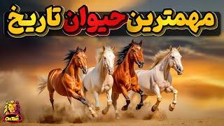 اسب، دوست نجیب و مهمترین حیوان تاریخ بشر