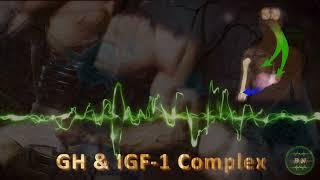 GH & IGF-1 Complex - Muscle & Bone Growth, Recovery, Regeneration