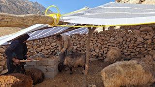 Building a safe and beautiful house for little lambs in the mountains