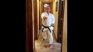 Karate Training Intermediate/Advanced in Hallway: 5-Count Drill