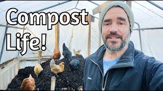 Chicken TV - Organizing compost to finalize for Spring