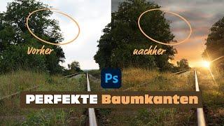 Bäume freistellen: JEDER sollte diese Photoshop-Tricks kennen!